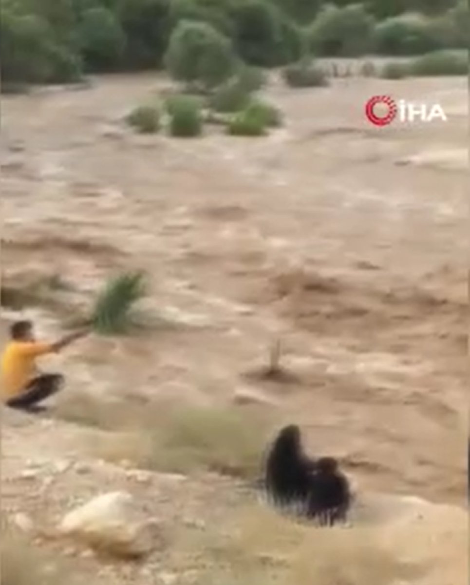 İran da sel felaketi yaşandı: 5 ölü, 12 yaralı #3